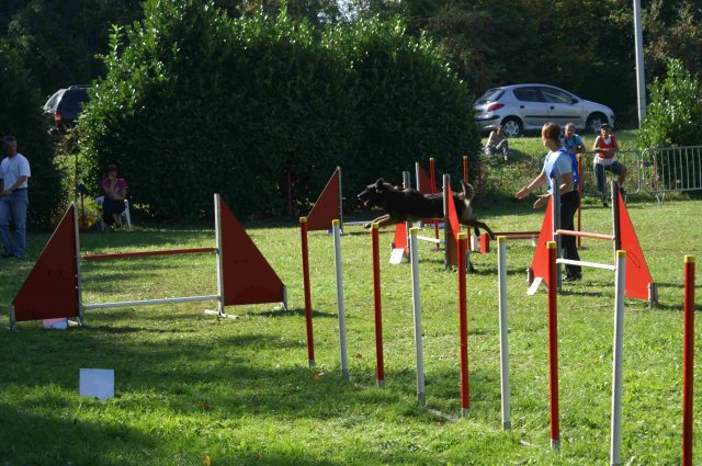 agility verriere 2011-10-01